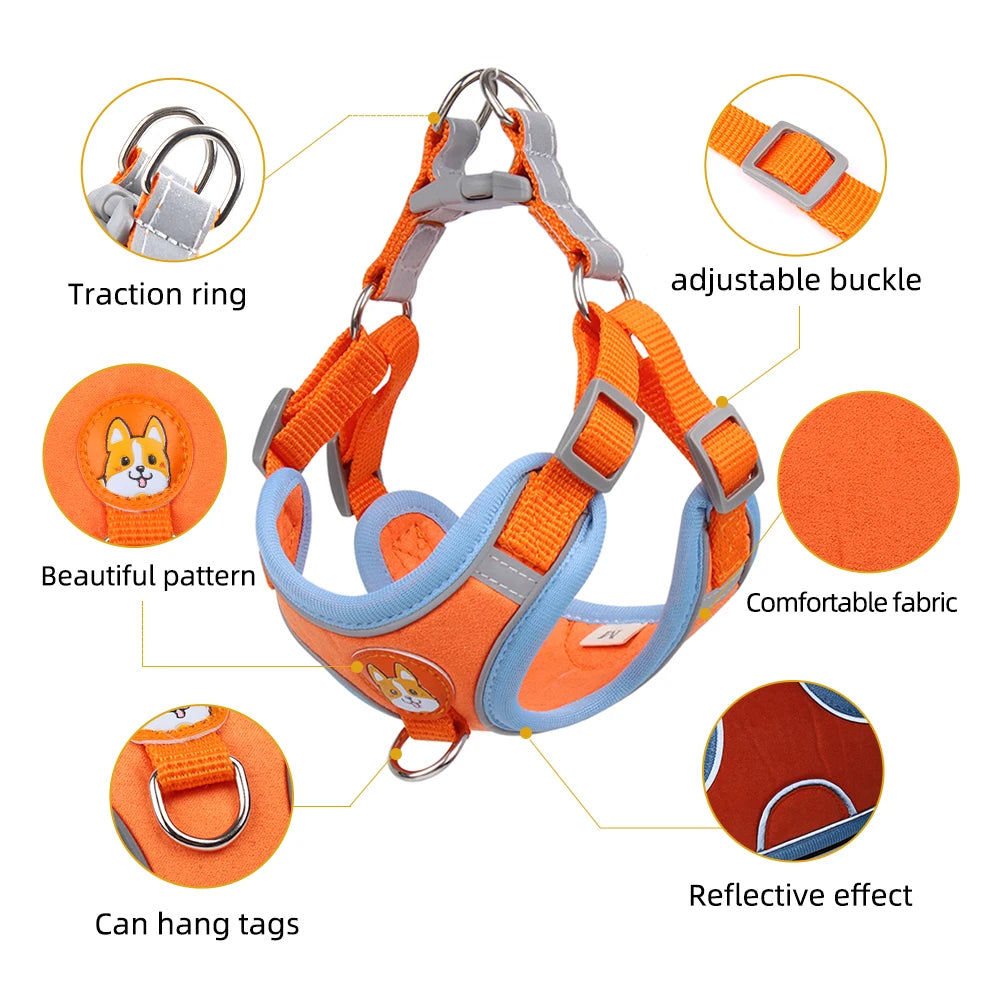 Pet Cat Harness And Leash Set